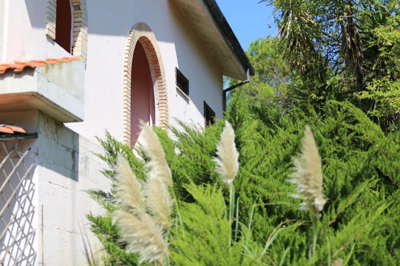 Villa La casa di Flora 2 Pianella  Esterno foto